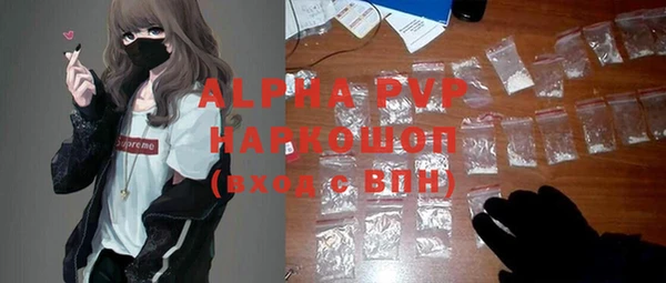 винт Новозыбков