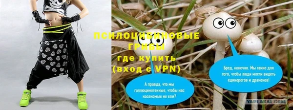 скорость mdpv Новодвинск