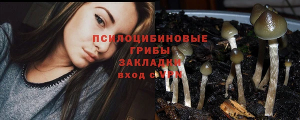 кристаллы Новокубанск