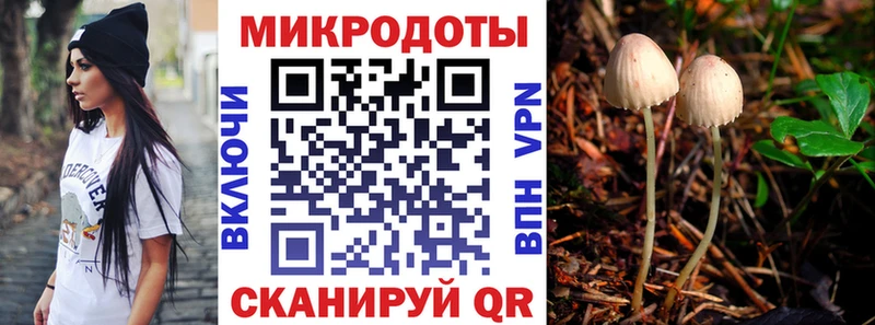 Галлюциногенные грибы ЛСД  KRAKEN ССЫЛКА  Стерлитамак 